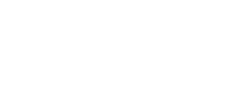 Vertex Group